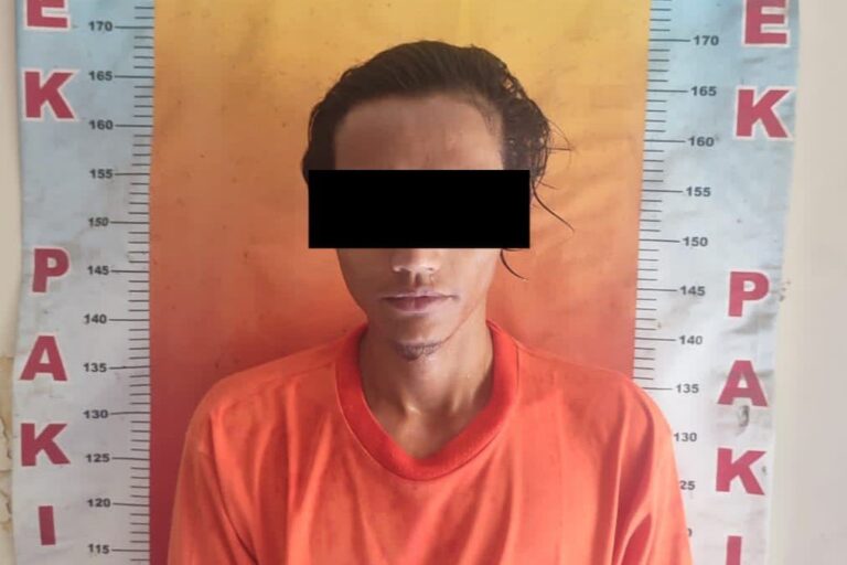 Sergap Polisi: Tangkap Residivis Curanmor di Persawahan