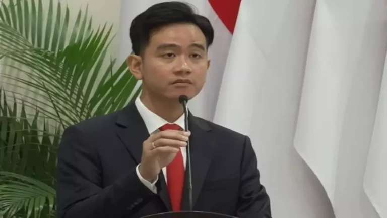 Palti Hutabarat: Harapan agar Nama Gibran Tidak Terdampar di Arsip